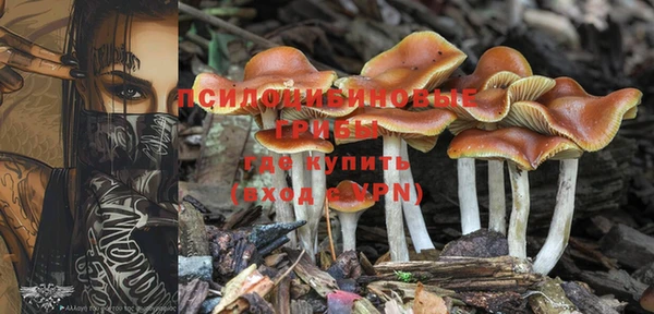 соль ск Богданович