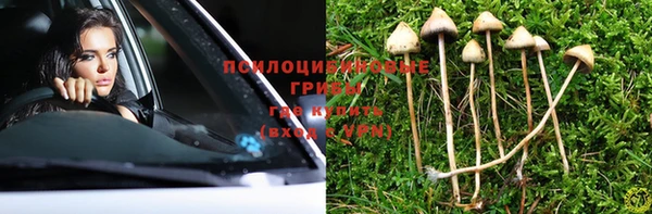 соль ск Богданович