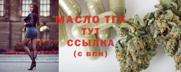 соль ск Богданович