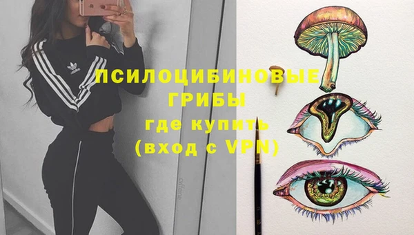 соль ск Богданович