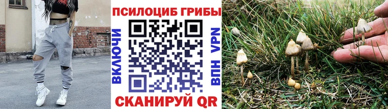 Псилоцибиновые грибы ЛСД Мамадыш